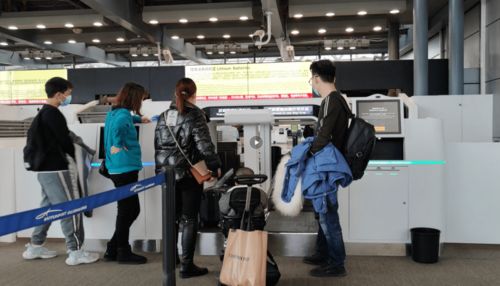 春運保障 白云信科可切換行李托運設(shè)備投用,為白云機場春運保駕護(hù)航